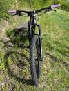 Trek Remedy 8