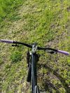 Trek Remedy 8