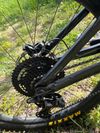 Trek Remedy 8