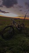 Trek Remedy 8