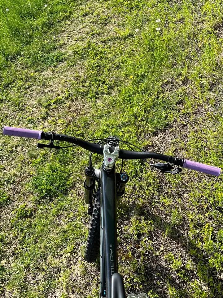 Trek Remedy 8