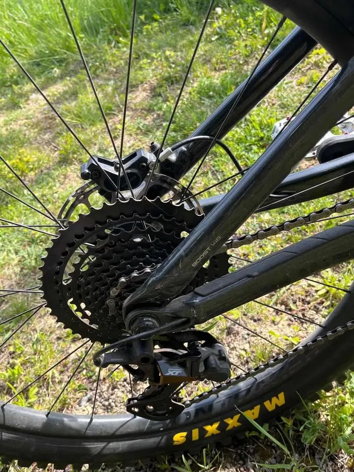 Trek Remedy 8