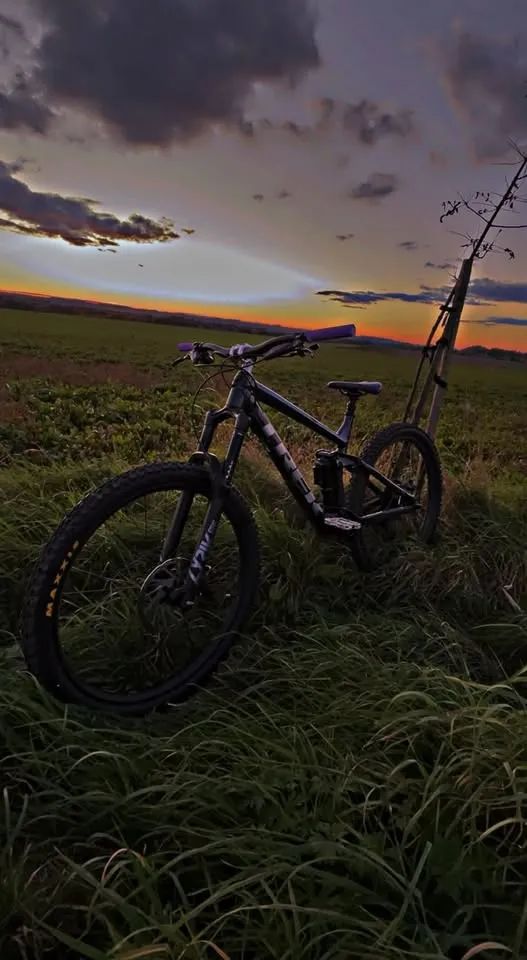 Trek Remedy 8