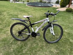 Scott Scale 24”