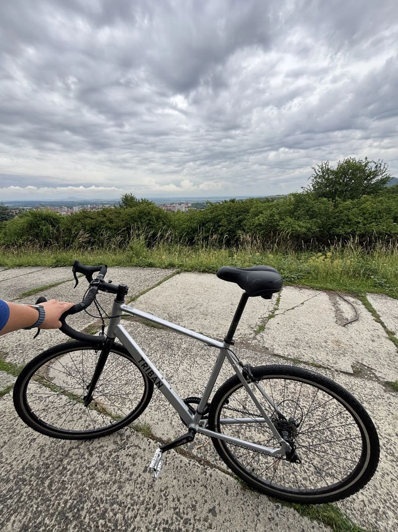 Triban RC100