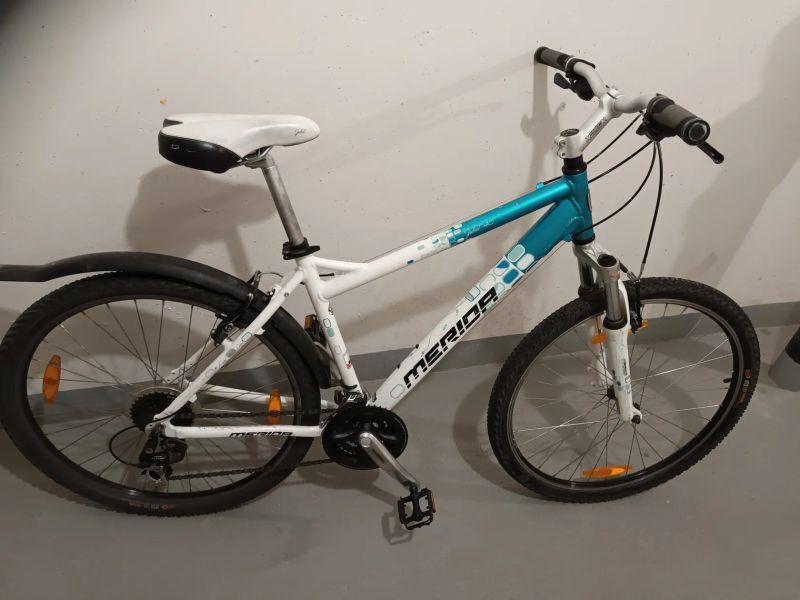 Merida Juliet