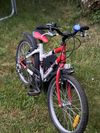 Dětské kolo Red Fox Cindy 20” 