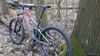 Trek Fuel ex 5