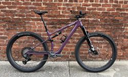 Specialized Epic EVO Expert 2025