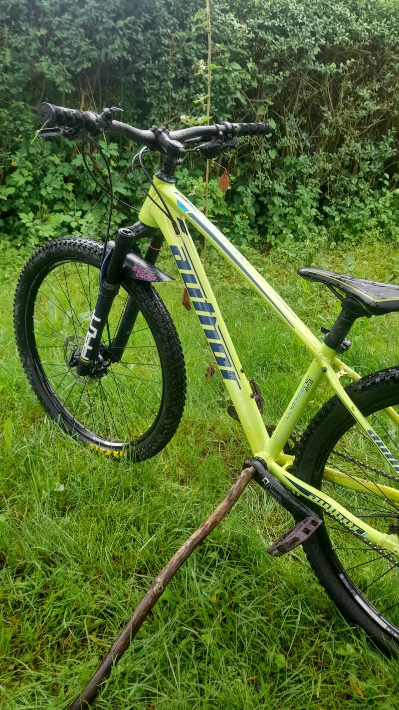 Author Ultrasonic 27,5
