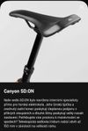 Canyon Neuron on