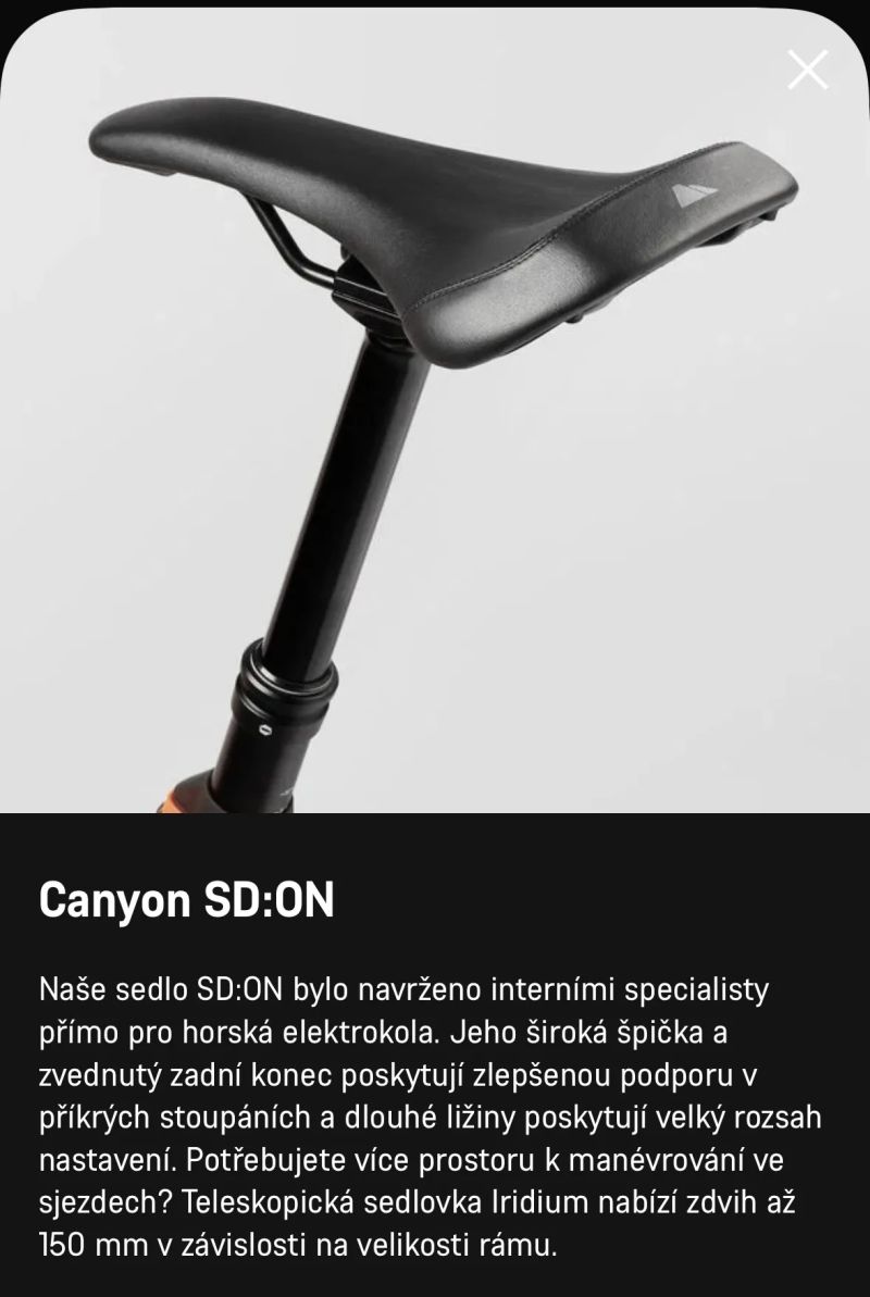 Canyon Neuron on