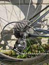 Cannondale Slice Carbon + ZIPP 404/808