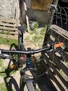 Bergamont Revox 5