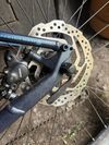 Bergamont Revox 5