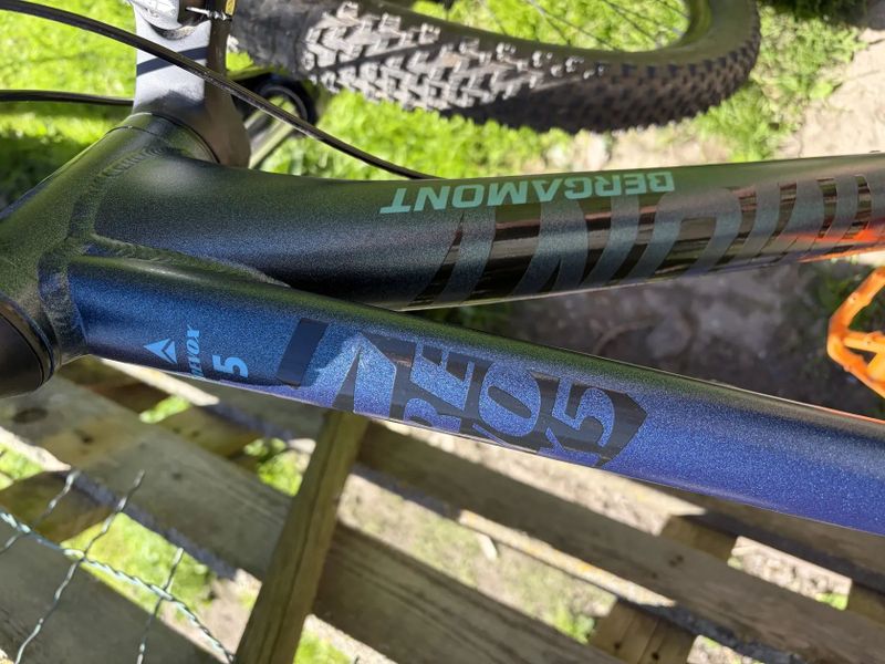 Bergamont Revox 5