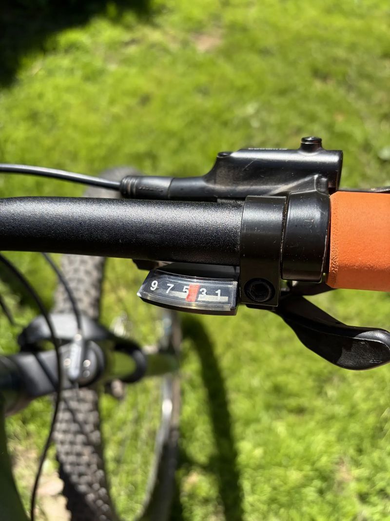 Bergamont Revox 5
