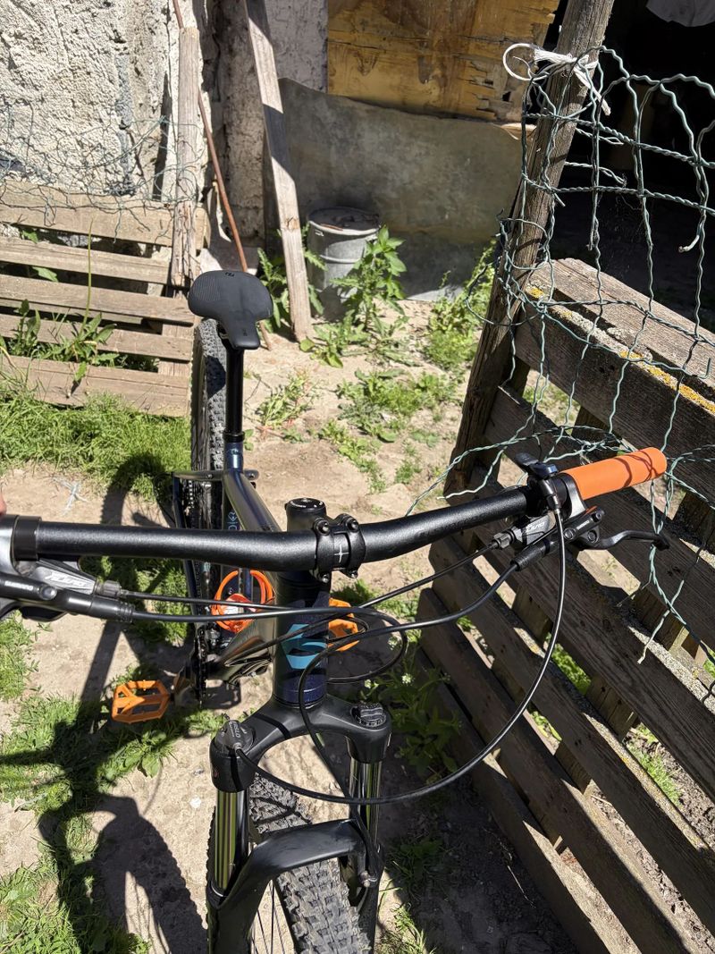 Bergamont Revox 5