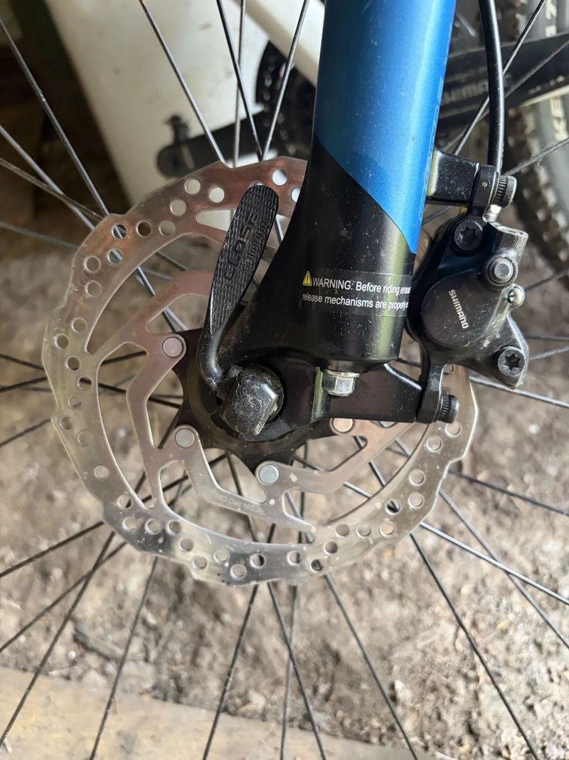 Bergamont Revox 5