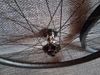 Zapletená kola 29'' Light Bicycle/DT 350