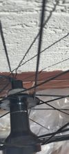 Specialized