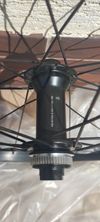 Specialized