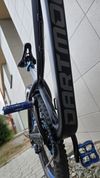 Dartmoor Hornet Pro