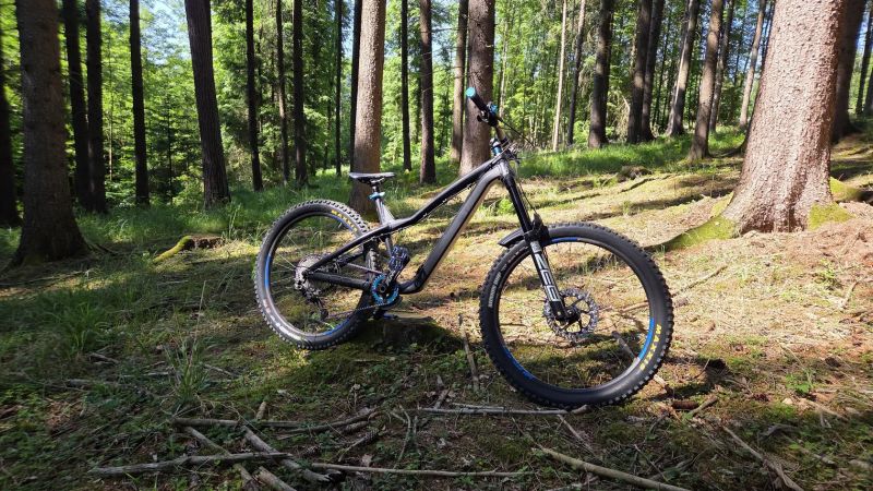 Dartmoor Hornet Pro