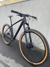 Carbon 29” boost