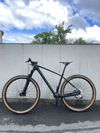 Carbon 29” boost