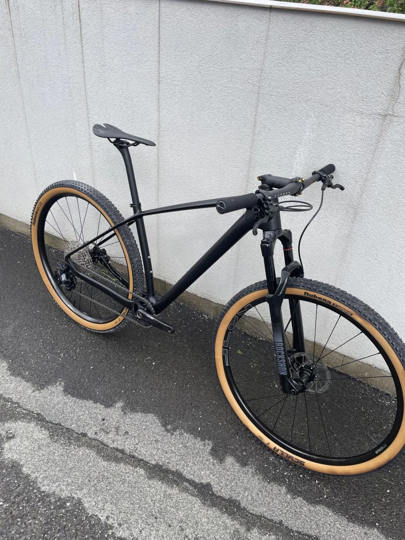 Carbon 29” boost
