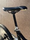 Trek Remedy 8