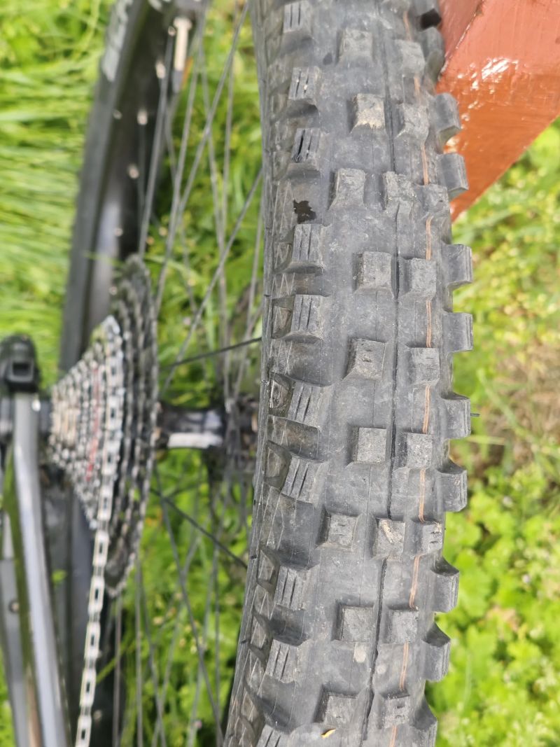 Haibike Allmtn CF9