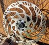 Zapletena kola Steppenwolf 29 ,kazeta Sram T Type 1270 XS,kotouče magura 203mm