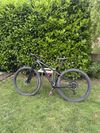 Zaskar Carbon Comp 29" Cross Country Bike 2020