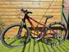 Scott Contessa Scale 40