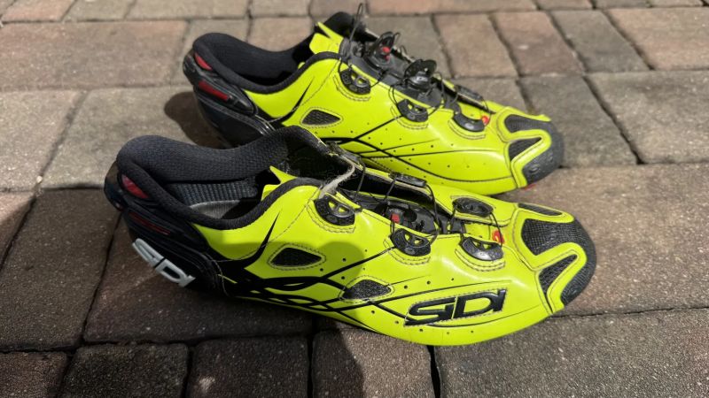 Sidi Tiger
