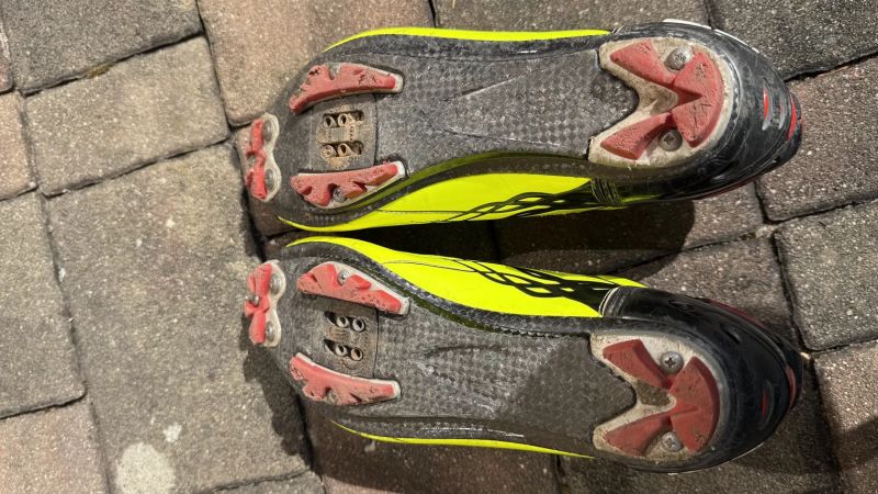 Sidi Tiger