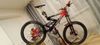 Ghost World Cup Team DH