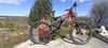 Ghost World Cup Team DH