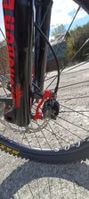 Ghost World Cup Team DH