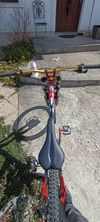 Ghost World Cup Team DH