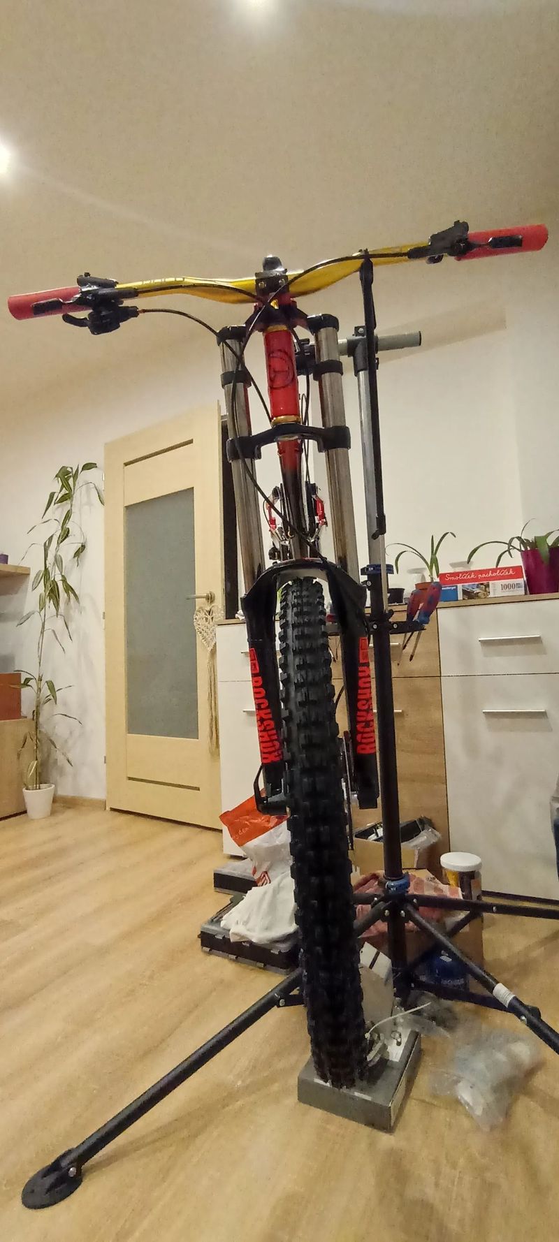 Ghost World Cup Team DH