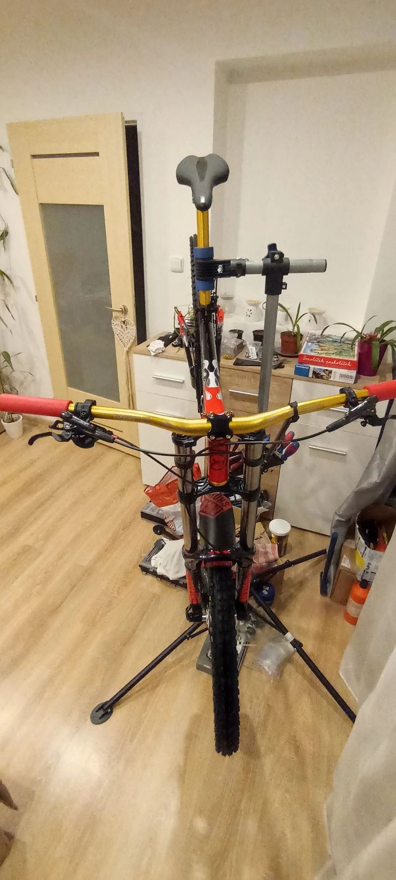 Ghost World Cup Team DH