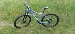 Cube CUBE ACCESS WS SL 29 2021 greyblue'n'lime