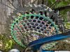 Trek E-Caliber 9.9 XX1 AXS