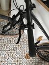 Felt Carbon 29" 