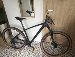 Felt Carbon 29" 