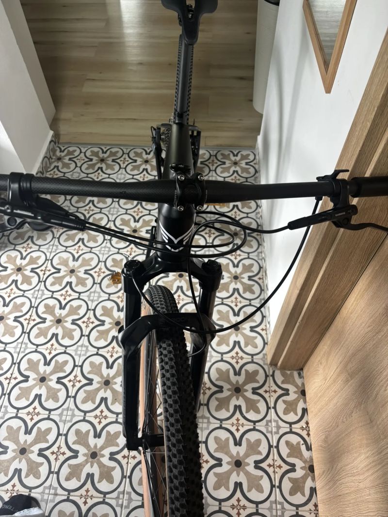 Felt Carbon 29" 