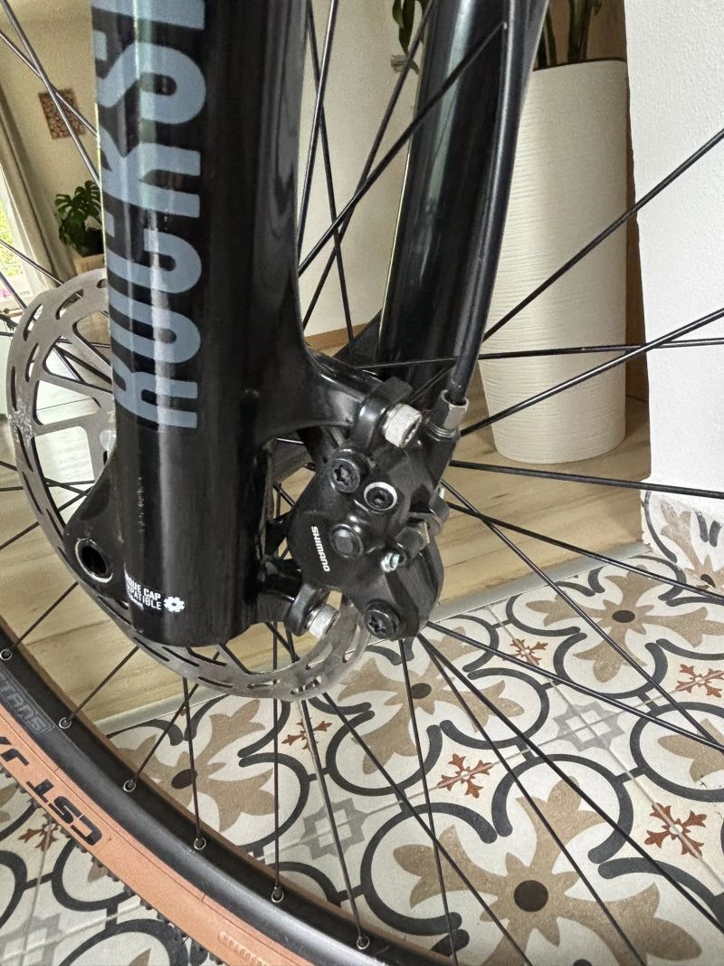 Felt Carbon 29" 